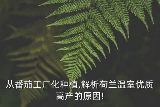 自動化西紅柿生產(chǎn)設(shè)備設(shè)計,電機自動化設(shè)備設(shè)計注意事項: