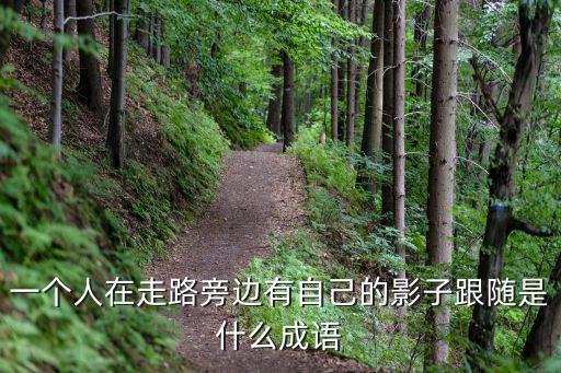 一個(gè)人在走路旁邊有自己的影子跟隨是什么成語