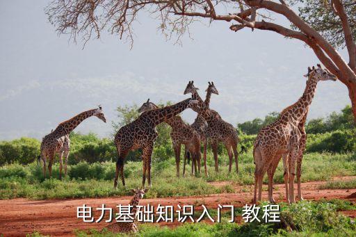 電氣自動化數(shù)字化教程視頻