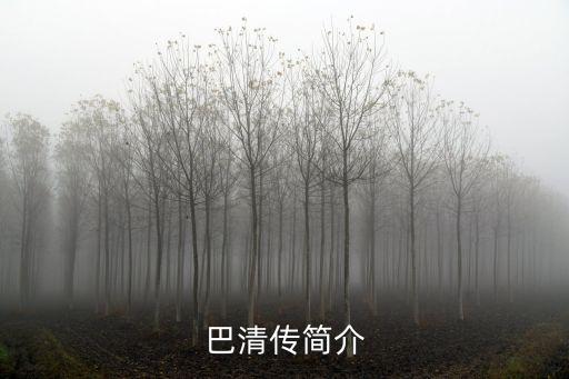 巴清傳簡介