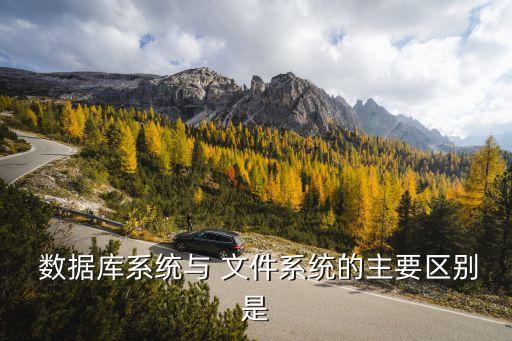  數(shù)據(jù)庫系統(tǒng)與 文件系統(tǒng)的主要區(qū)別是