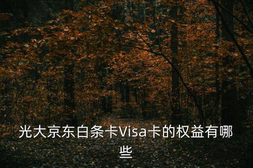 光大京東白條卡Visa卡的權益有哪些