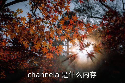 channela，功放CHANNELA中文什么意思