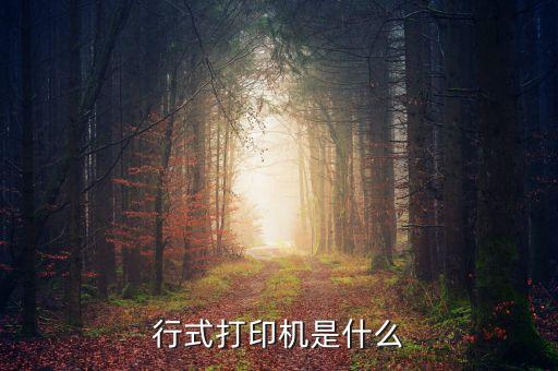 行式打印機是什么