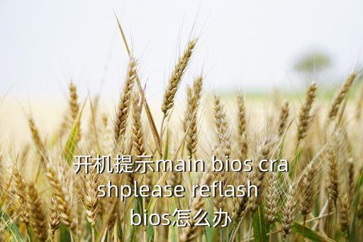 開機提示main bios crashplease reflash bios怎么辦