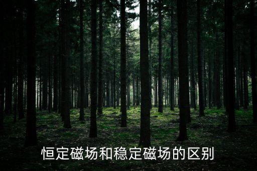 恒定磁場和穩(wěn)定磁場的區(qū)別