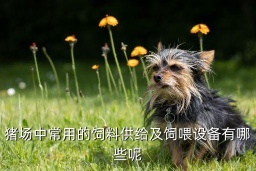 豬場中常用的飼料供給及飼喂設(shè)備有哪些呢