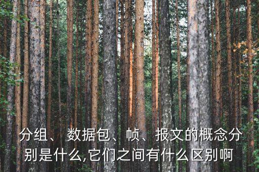  分組、 數(shù)據(jù)包、幀、報文的概念分別是什么,它們之間有什么區(qū)別啊