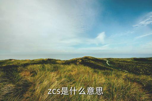 zcs是什么意思