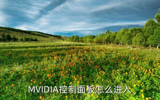 MVIDIA控制面板怎么進(jìn)入