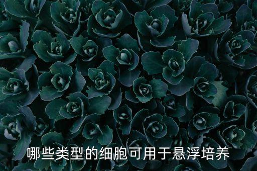 哪些類型的細胞可用于懸浮培養(yǎng)