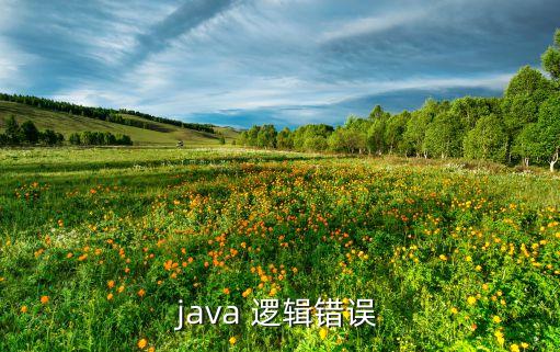 java 邏輯錯誤