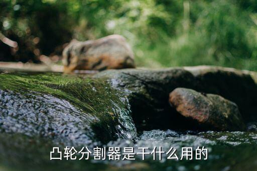 蘇州分割器自動(dòng)化設(shè)備,如何選擇凸輪分割器?