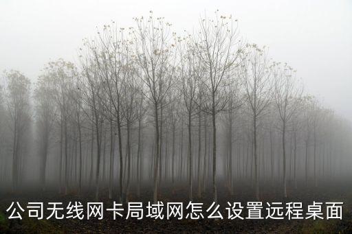 公司無(wú)線網(wǎng)卡局域網(wǎng)怎么設(shè)置遠(yuǎn)程桌面