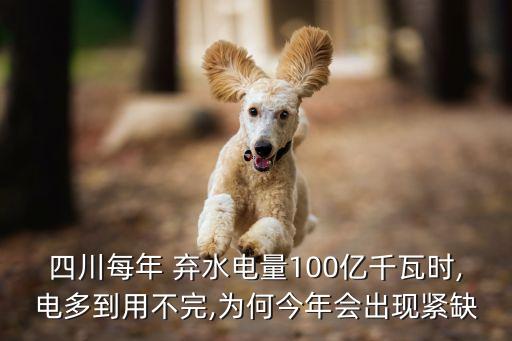 棄水,水電廠棄水電量如何計算?一文看懂