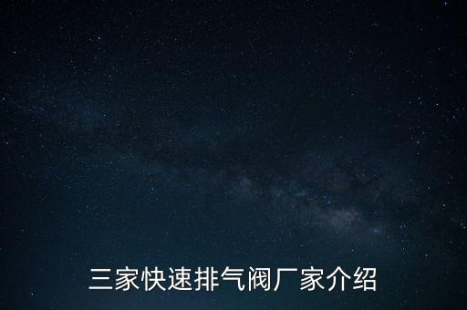 三家快速排氣閥廠家介紹
