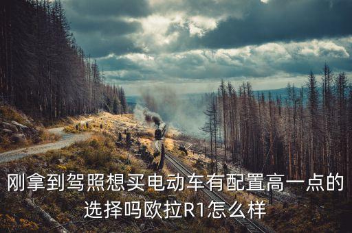 剛拿到駕照想買(mǎi)電動(dòng)車(chē)有配置高一點(diǎn)的選擇嗎歐拉R1怎么樣