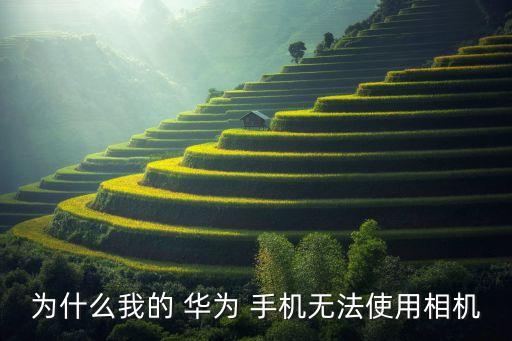 為什么我的 華為 手機(jī)無法使用相機(jī)