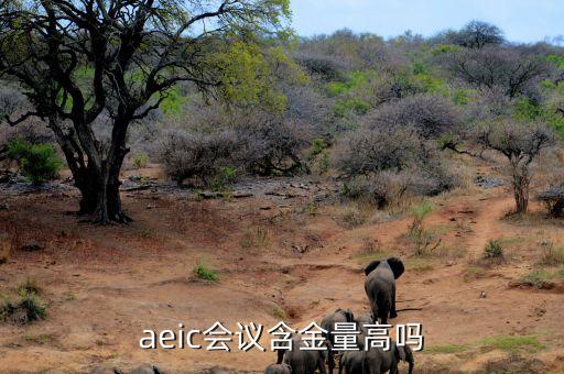 aeic會(huì)議含金量高嗎