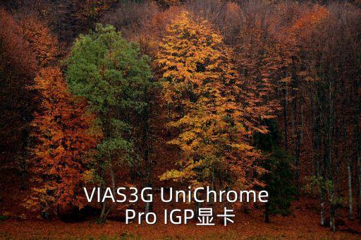 VIAS3G UniChrome Pro IGP顯卡