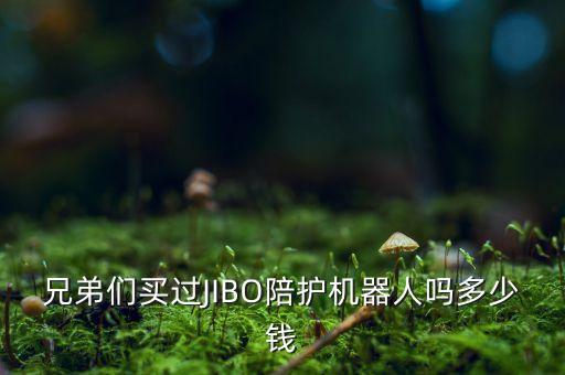 兄弟們買過JIBO陪護(hù)機(jī)器人嗎多少錢