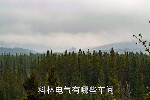 石家莊科林自動(dòng)化公司