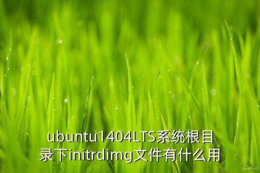 ubuntu1404LTS系統(tǒng)根目錄下initrdimg文件有什么用