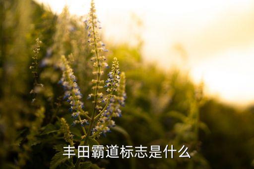 豐田霸道標志是什么