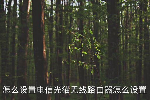 怎么設(shè)置電信光貓無(wú)線路由器怎么設(shè)置