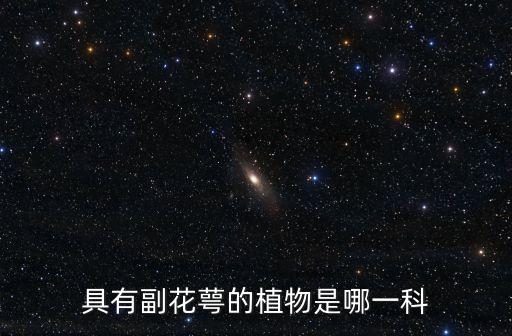 sepal，s什么什么A什么 英語(yǔ) 有幾個(gè)單詞