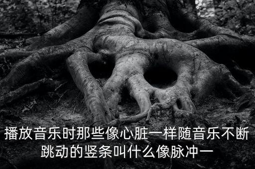播放音樂時(shí)那些像心臟一樣隨音樂不斷跳動(dòng)的豎條叫什么像脈沖一