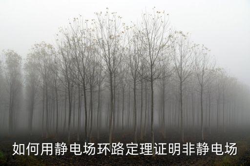 靜電場(chǎng)環(huán)路定理，環(huán)路定理的公式