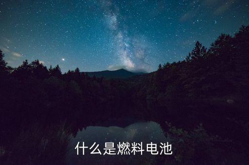 什么是燃料電池