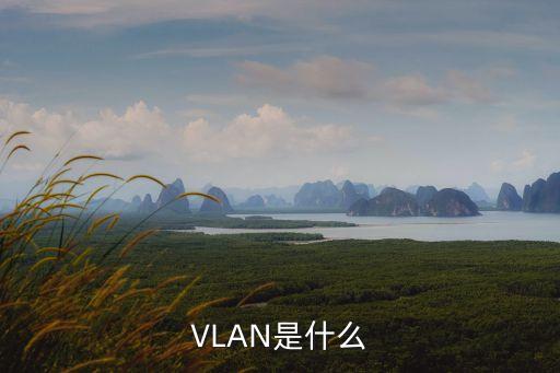 VLAN是什么