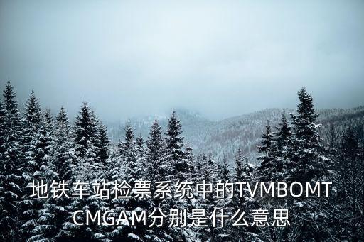 TVM，英語中AVM和TVM的區(qū)別