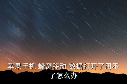 蘋果手機 蜂窩移動 數(shù)據(jù)打開了用不了怎么辦