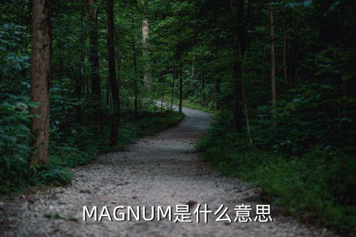 MAGNUM是什么意思