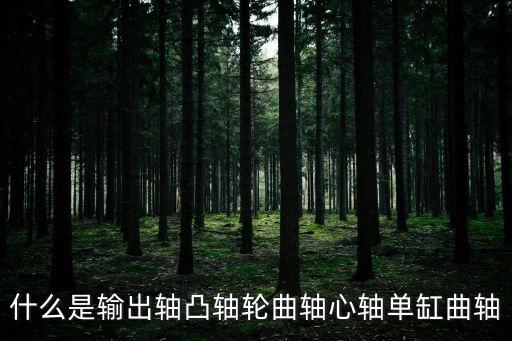 什么是輸出軸凸軸輪曲軸心軸單缸曲軸