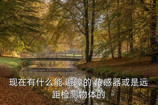 現(xiàn)在有什么能 避障的 傳感器或是遠(yuǎn)距檢測(cè)物體的