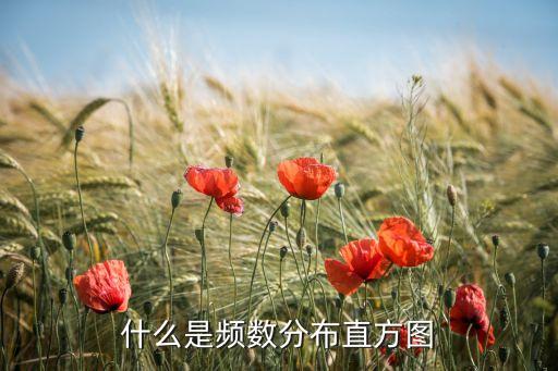 什么是頻數(shù)分布直方圖