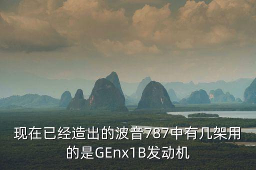現(xiàn)在已經(jīng)造出的波音787中有幾架用的是GEnx1B發(fā)動機(jī)