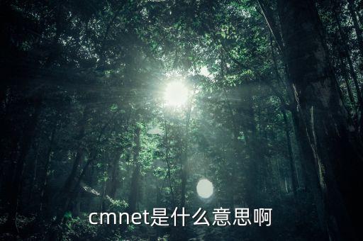 cmnet是什么意思啊