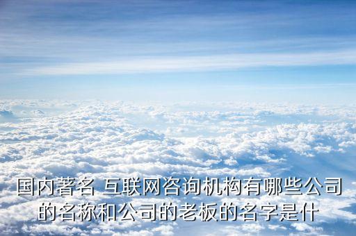 楊偉慶，國(guó)內(nèi)著名 互聯(lián)網(wǎng)咨詢機(jī)構(gòu)有哪些公司的名稱和公司的老板的名字是什