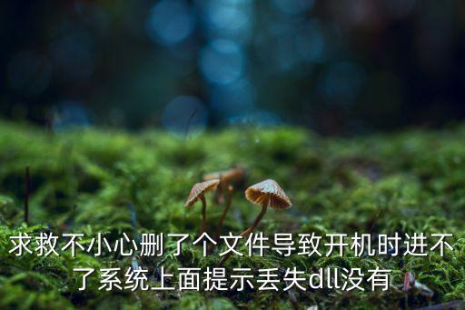 求救不小心刪了個(gè)文件導(dǎo)致開(kāi)機(jī)時(shí)進(jìn)不了系統(tǒng)上面提示丟失dll沒(méi)有