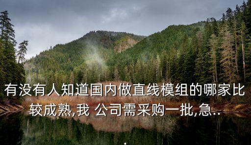有沒有人知道國內(nèi)做直線模組的哪家比較成熟,我 公司需采購一批,急...