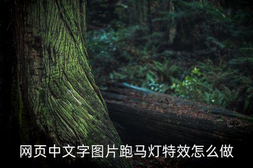 跑馬燈效果，網(wǎng)頁(yè)中文字圖片跑馬燈特效怎么做