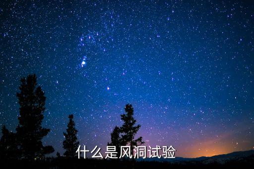 什么是風(fēng)洞試驗(yàn)