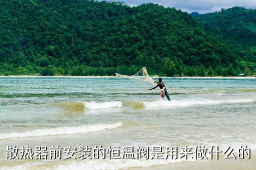 散熱器前安裝的恒溫閥是用來做什么的