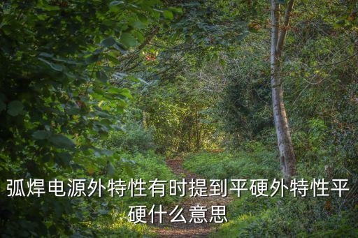 外特性，弧焊電源外特性有時(shí)提到平硬外特性平硬什么意思