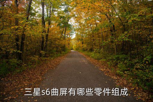 三星s6曲屏有哪些零件組成